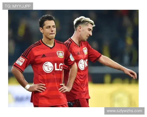 支撑德甲球队运转的企业背景解析